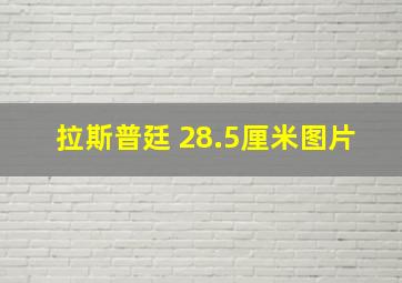 拉斯普廷 28.5厘米图片